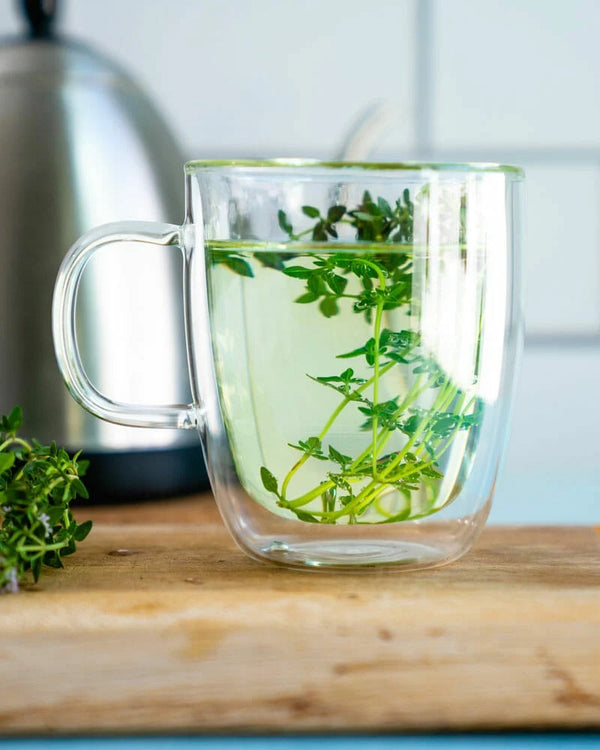 The Power of Antioxidants in Tea: Why You Should Drink it Every Day